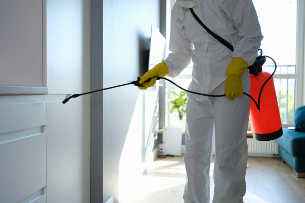 Best Residential Mold Remediation in White Hall, AR